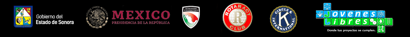 Professional Background of Dante Talavera